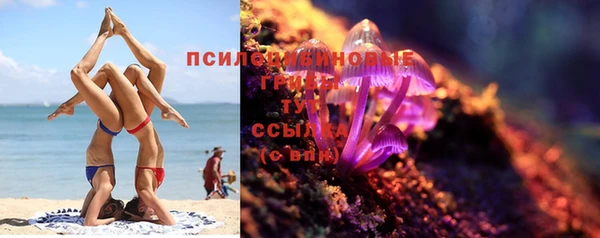 герыч Алексин