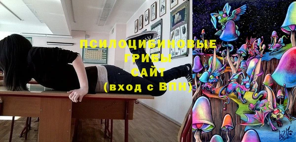 герыч Алексин