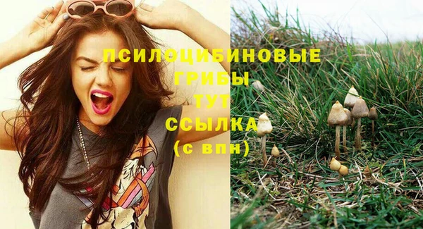 герыч Алексин