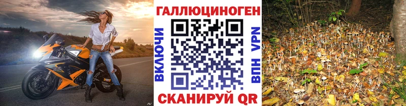 Псилоцибиновые грибы Psilocybe Камешково